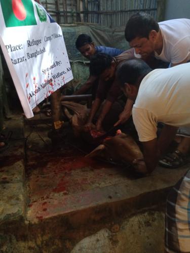 WhatsApp Image 2022-07-11 at 5.06.09 PM